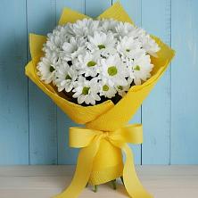 Букет цветов из:  Хризантемы в Шум Ленинградская область