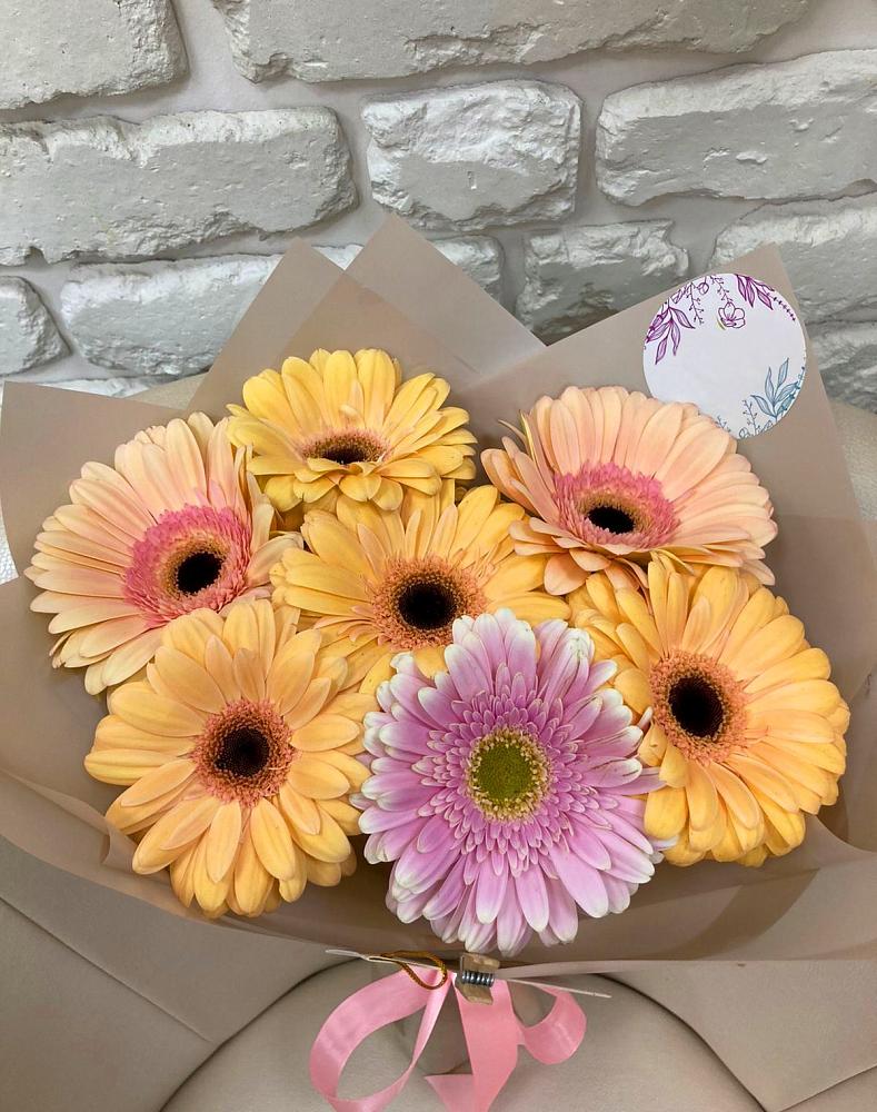 Букет цветов из: Герберы в Шум Ленинградская область