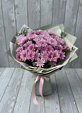 Букет цветов из:  Хризантемы в Шум Ленинградская область