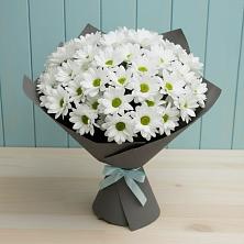 Букет цветов из:  Хризантемы в Шум Ленинградская область