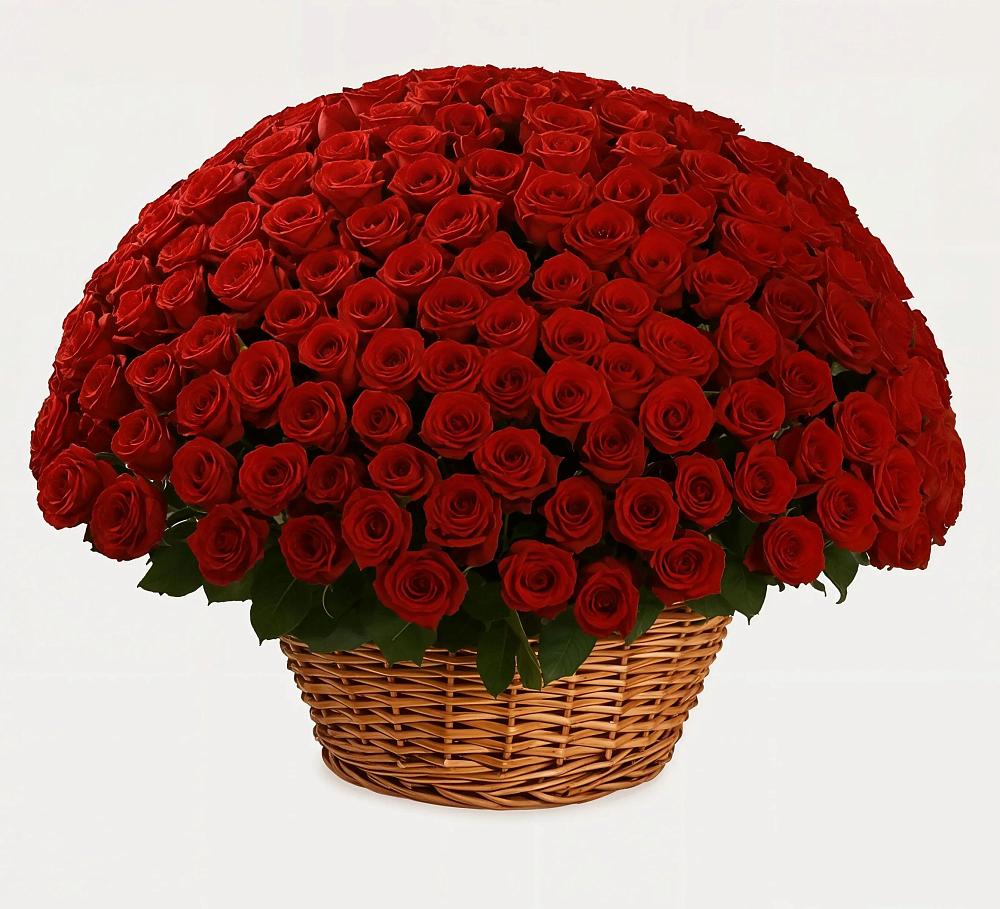 Премиум букет из: Розы в Шум Ленинградская область