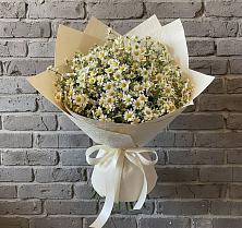 Букет цветов из:  Ромашки в Шум Ленинградская область