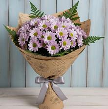Букет цветов из:  Хризантемы в Шум Ленинградская область