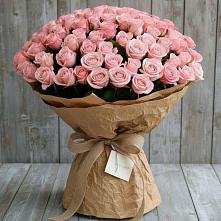 Букет 151 Роза Роуз в Шум Ленинградская область
