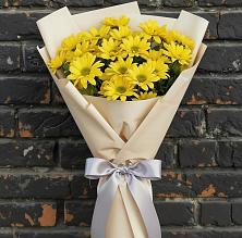 Букет цветов из:  Хризантемы в Шум Ленинградская область