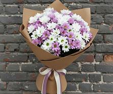 Букет цветов из:  Хризантемы в Шум Ленинградская область