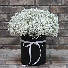 Цветочная композиция из Гипсофила в шляпной коробке в Шум Ленинградская область