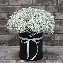 Цветочная композиция из Гипсофила в шляпной коробке в Шум Ленинградская область