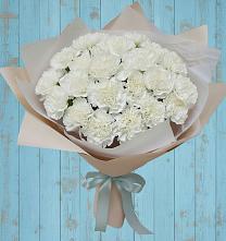 Букет цветов из:  Гвоздики в Шум Ленинградская область