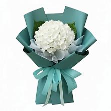 Букет цветов из:  Гортензия #REPLACE_PRED# Шум Ленинградская область